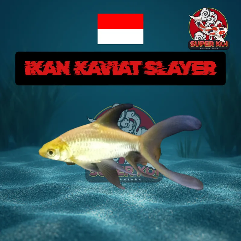 Ikan Kaviat Slayer