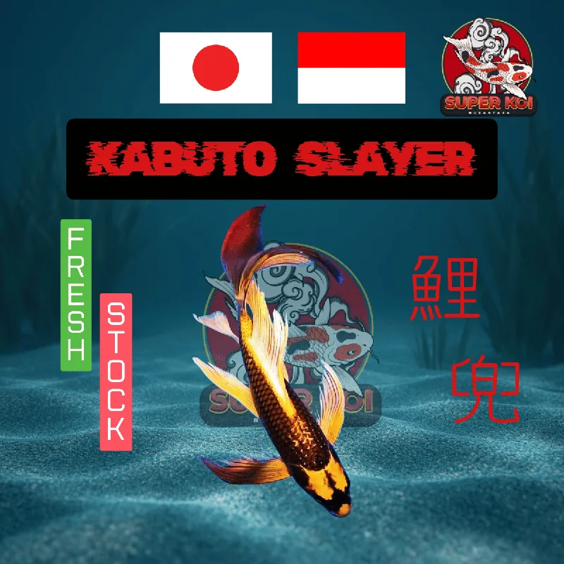 Koi Kabuto Slayer