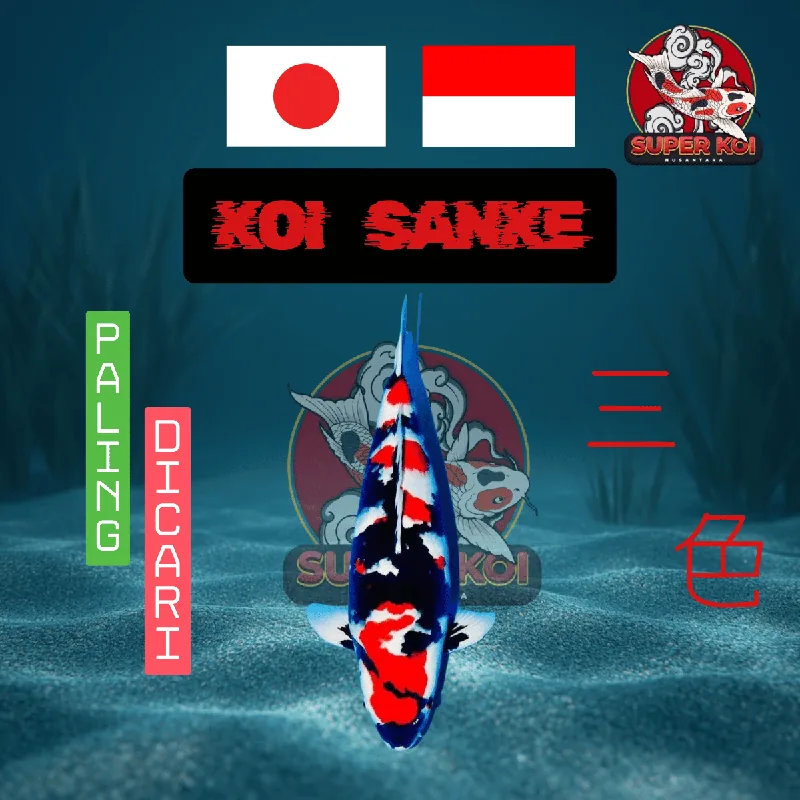 Koi Sanke