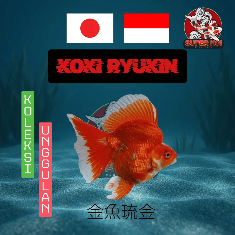 Koki Ryukin