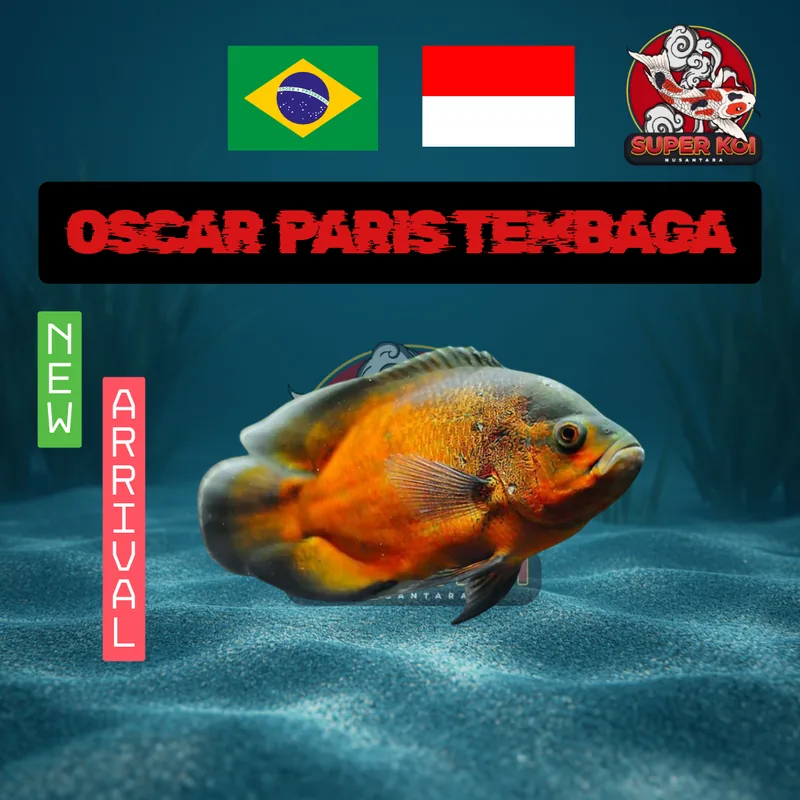 Oscar Paris Tembaga