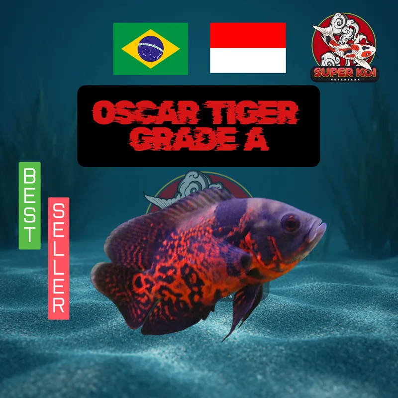 Oscar Tiger Good Marking